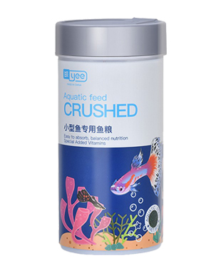 黑母猪